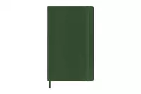 Een Moleskine 2025 12M Daily Softcover Large Myrtle Green koop je bij Moleskine.nl