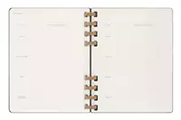 Een Moleskine 2025 12M Weekly/Monthly Life Spiral Planner Hardcover XL Black koop je bij Moleskine.nl