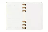 Een Moleskine 2025 12M Weekly/Monthly Life Spiral Planner Hardcover Large Crush Kiwi koop je bij Moleskine.nl