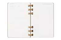 Een Moleskine 2025 12M Weekly/Monthly Life Spiral Planner Hardcover Large Crush Almond koop je bij Moleskine.nl