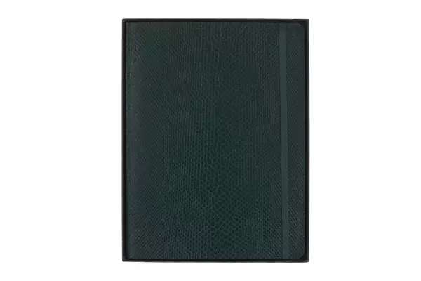 Een Moleskine Precious & Ethical Ruled Softcover Notebook XL Vegan Python Green koop je bij Moleskine.nl