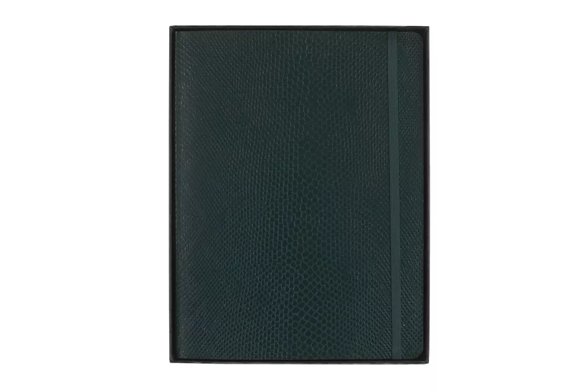 Een Moleskine Precious & Ethical Ruled Softcover Notebook XL Vegan Python Green koop je bij Moleskine.nl