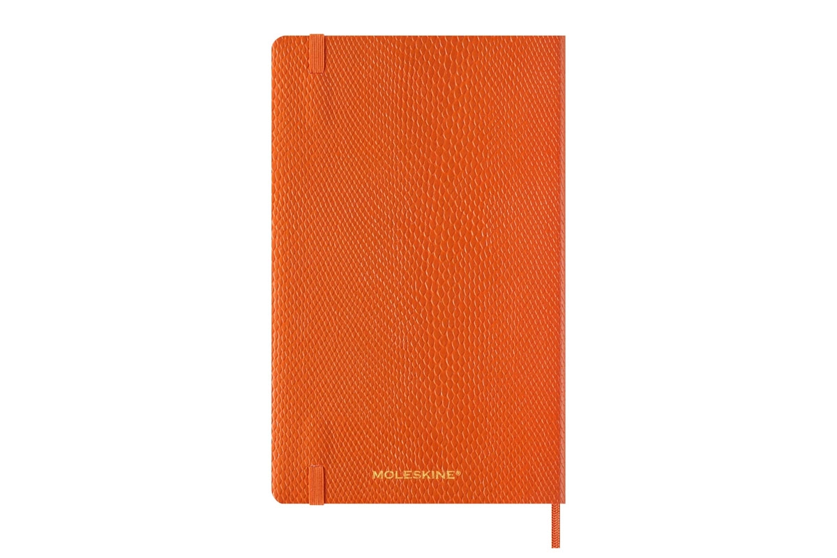 Een Moleskine 2025 12M Weekly Precious & Ethical Planner Large Mamba Orange koop je bij Moleskine.nl