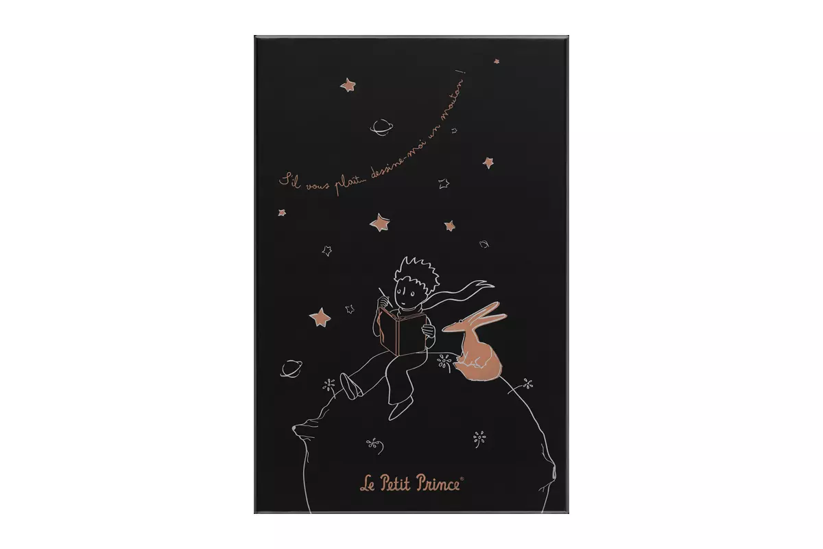 Een Moleskine Le Petit Prince Ruled Large Hardcover Notebook Limited Edition koop je bij Moleskine.nl