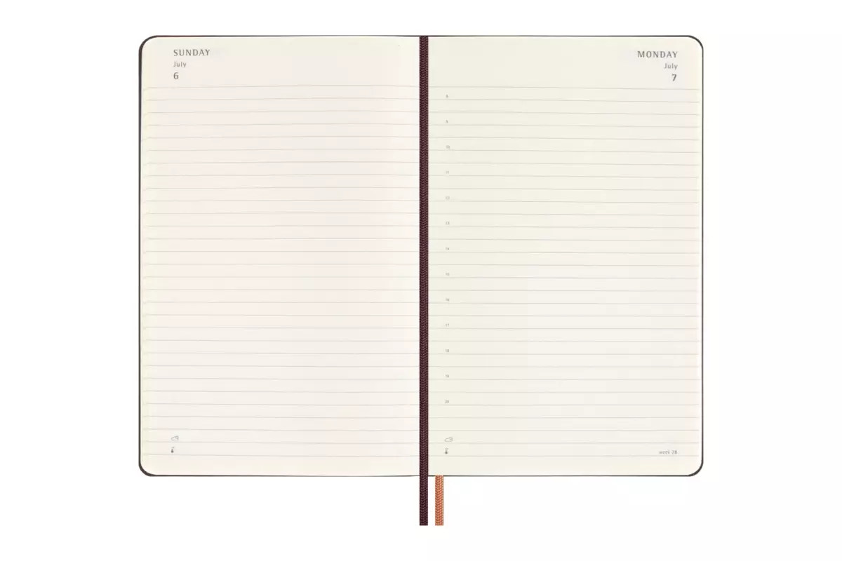 Een Moleskine 2025 12M Harry Potter 'Accio' Daily Hardcover Large (LE) koop je bij Moleskine.nl