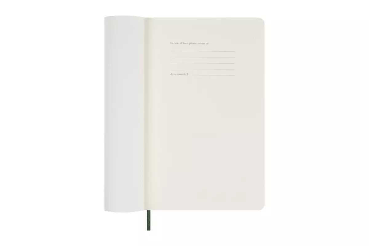 Een Moleskine 2025 12M Daily Softcover Large Myrtle Green koop je bij Moleskine.nl