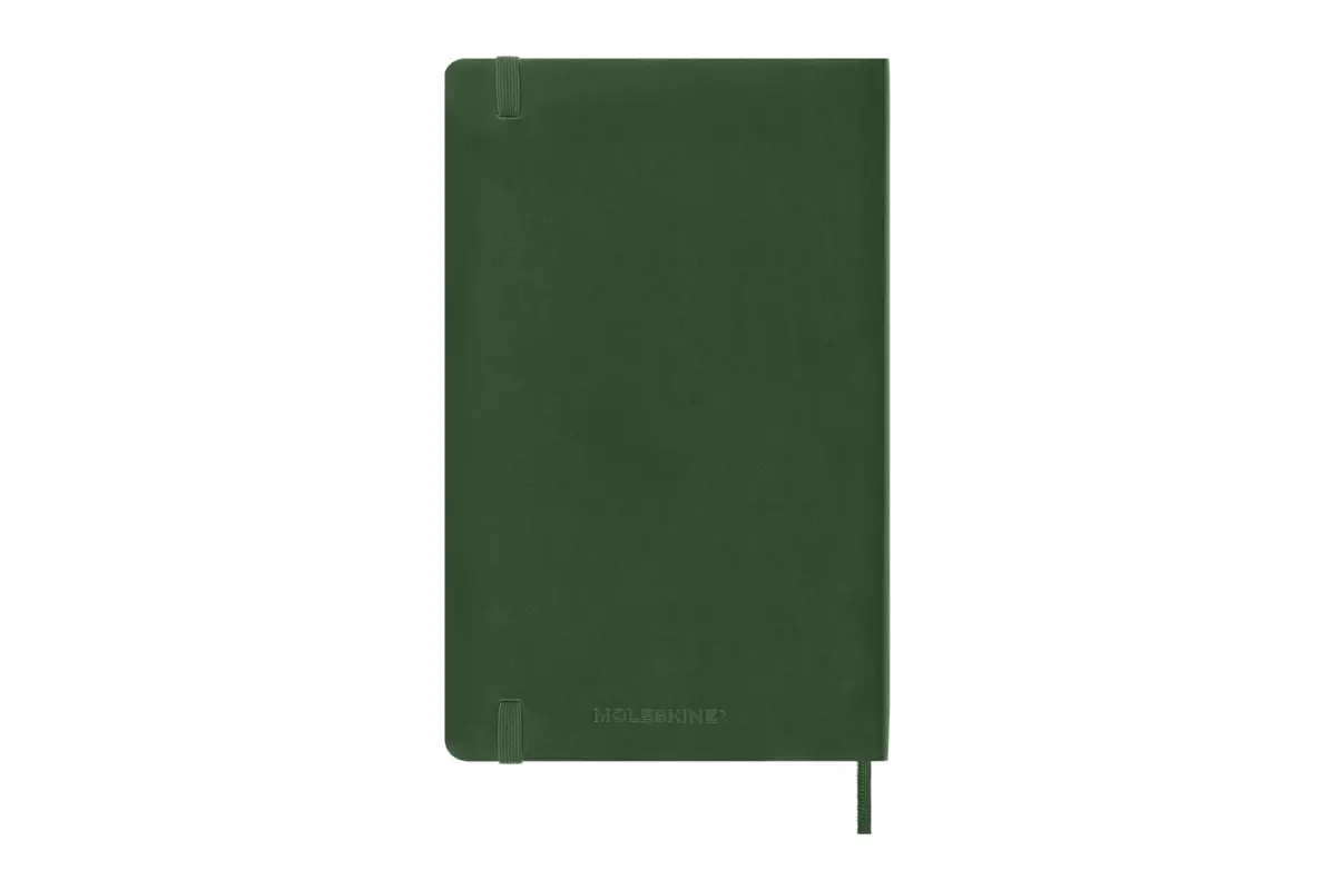 Een Moleskine 2025 12M Daily Softcover Large Myrtle Green koop je bij Moleskine.nl