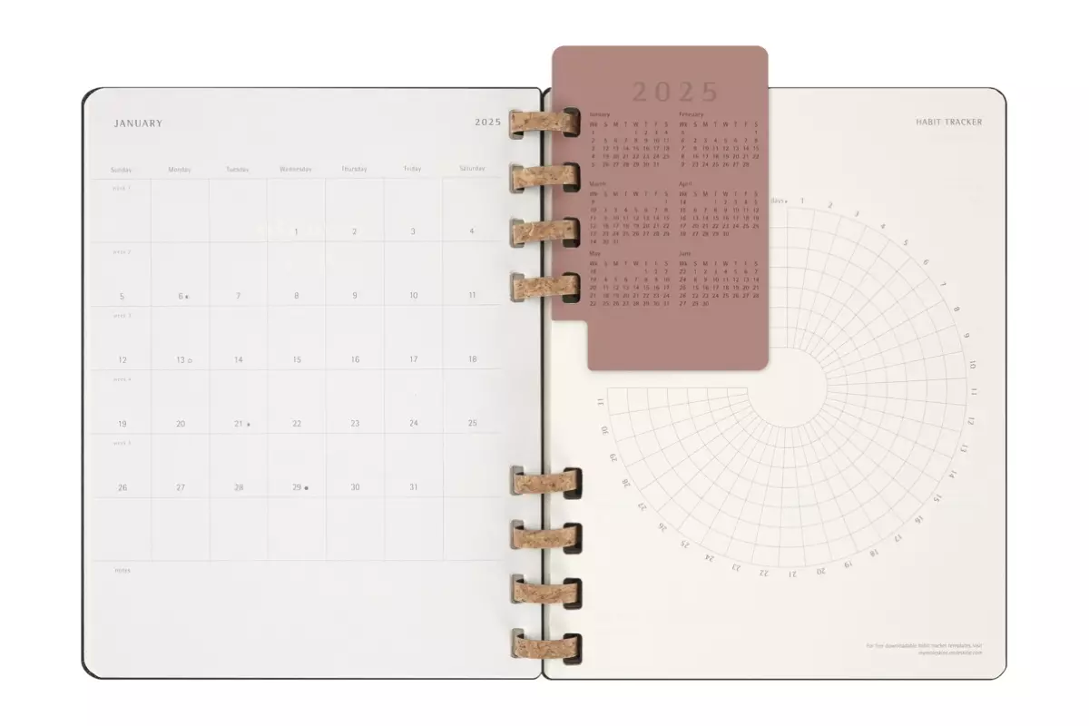 Een Moleskine 2025 12M Weekly/Monthly Life Spiral Planner Hardcover XL Black koop je bij Moleskine.nl