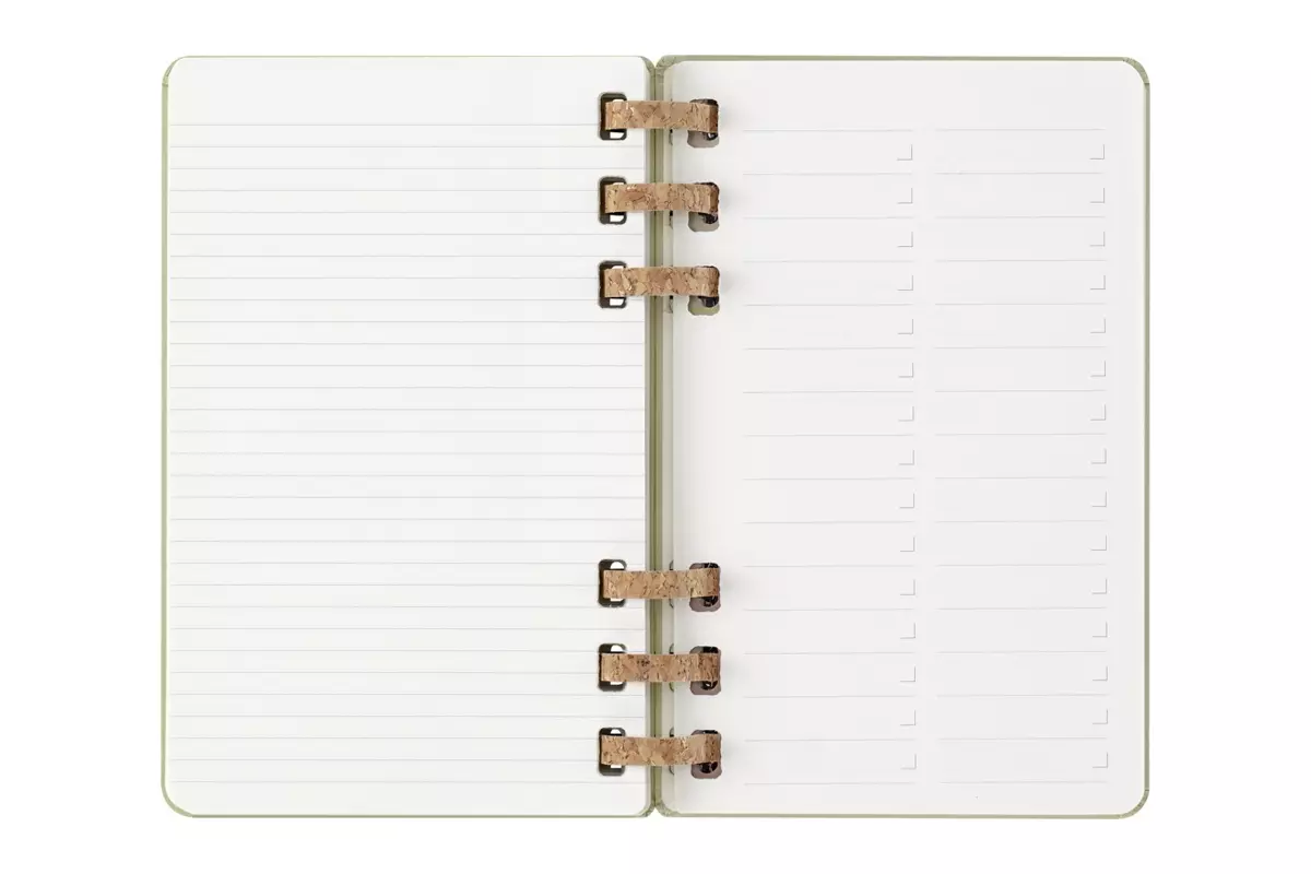 Een Moleskine 2025 12M Weekly/Monthly Life Spiral Planner Hardcover Large Crush Kiwi koop je bij Moleskine.nl